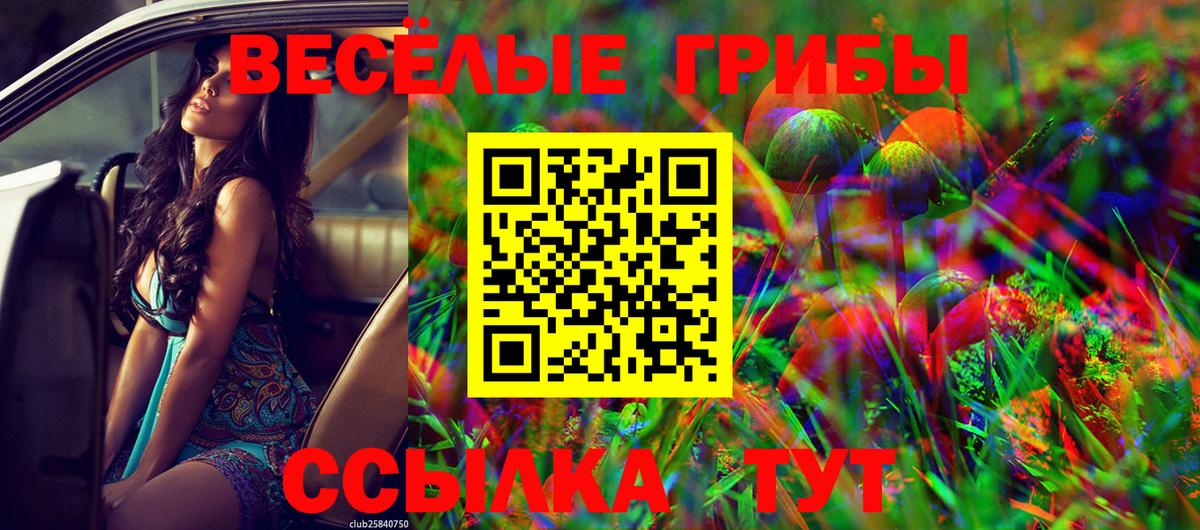 Галлюциногенные грибы Magic Shrooms Югорск