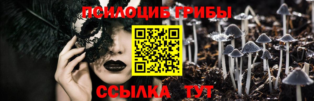 Псилоцибиновые грибы MAGIC MUSHROOMS  Галлюциногенные грибы Psilocybe  Югорск  Вход с VPN 